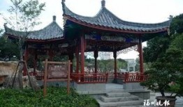 广西亭子的吃瓜男女,吃瓜男女的欢乐时光