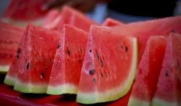 完整吃瓜自取,一场全民参与的趣味盛宴