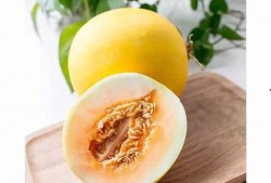 吃瓜还嫌瓜不甜下一句