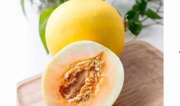 吃瓜还嫌瓜不甜下一句