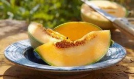 吃瓜还嫌瓜不甜下一句