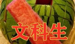 体育生训练吃瓜,揭秘瓜果在运动营养中的神奇作用