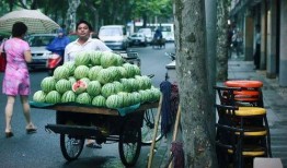 高速路边吃瓜,揭秘路途中的意外“美食”趣闻