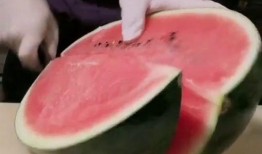 网红游戏吃瓜,网红游戏“吃瓜”带你领略虚拟世界的趣味人生