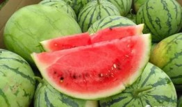 选秀之日吃瓜,娱乐圈的“瓜田”盛宴