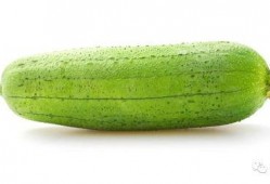 适合动物吃的瓜,盘点适合动物食用的美味瓜类