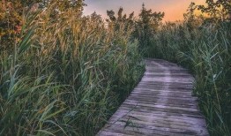 正能量吃瓜人,正能量满满