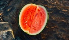 头盖骨吃瓜,探寻古人类饮食之谜