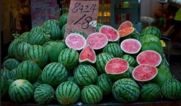 上海吃瓜路人,上海吃瓜路人的市井生活剪影