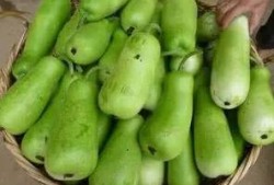 小朋友吃葫芦瓜,小朋友的甜蜜探险记