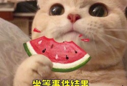 听闻吃瓜小说,揭秘吃瓜小说背后的真实故事