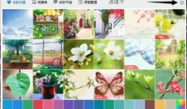 颜色吃瓜qq群,揭秘“根据颜色吃瓜”QQ群里的趣味生活