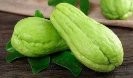 生椰吃瓜和刺梨吃瓜热量,揭秘吃瓜新宠的热量秘密