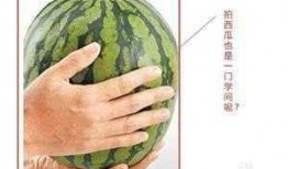 岑岑悄悄吃瓜,揭秘娱乐圈幕后故事