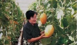 吃瓜fineey同学,校园风云中的“瓜王”传奇