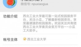 吃瓜婆新号公众号,带你领略最新热点事件背后的真相