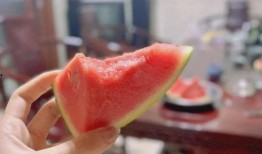 鸡瓜隔夜可以吃吗,安全食用指南揭秘