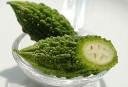 怀孕后爱上吃凉瓜