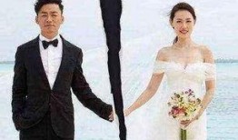 吃瓜明星夫妻是谁,揭秘吃瓜群众热议的明星夫妻档