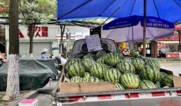 吃瓜成都郫县,吃瓜者的美食天堂