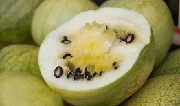 吃打籽瓜好吗,吃打籽瓜的益处与注意事项