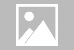 博肖吃瓜现场,揭秘娱乐圈幕后真相