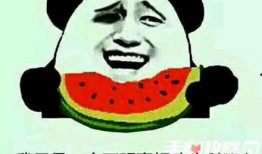 坐等吃瓜是什么梗,揭秘网络热词背后的趣味与现象