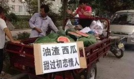 辉县吃瓜事件经过,一场网络舆论的风波与反思