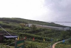 辉县吃瓜事件经过,一场网络舆论的风波与反思