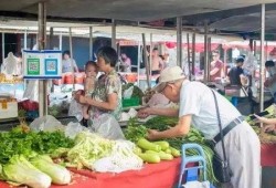 袁桥吃瓜视频,揭秘娱乐圈幕后真相