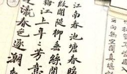 小楷吃瓜,揭秘娱乐圈那些不为人知的幕后故事