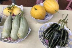 章丘最近吃瓜事件,一场引发热议的社区事件回顾