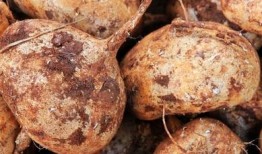 吃大土瓜 咯,探寻民间美食的独特魅力