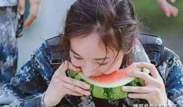 明星扎堆吃瓜,明星扎堆吃瓜，揭秘幕后真相