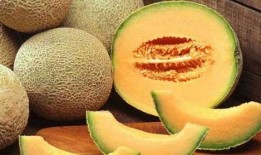 吃哈密瓜可以吃胃药吗,食用哈密瓜时是否需要胃药？