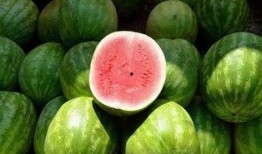 梦见宿舍同学吃瓜