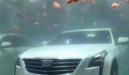 吃瓜路虎销售,销售背后的故事与真相