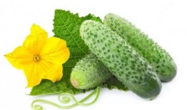 宋婉婉吃瓜系统,揭秘娱乐圈幕后风云