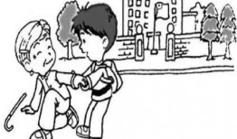 猴子吃瓜看图写话,一场视觉与味觉的双重盛宴