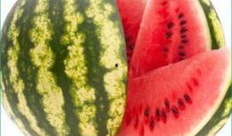 天天跟瓜打交道每日吃瓜,跟随“天天吃瓜”探索娱乐圈风云变幻