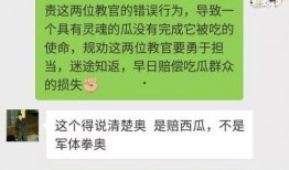 教官吃瓜群众,教官与吃瓜群众的欢乐时光