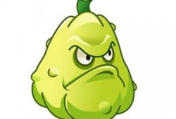 吃窩瓜妤么,探寻传统吃法与养生之道