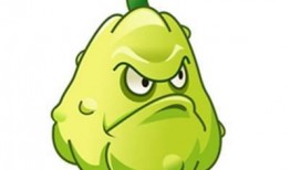 吃窩瓜妤么,探寻传统吃法与养生之道