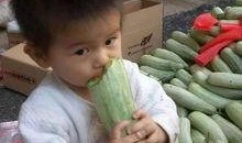 带你吃瓜小瓜,带你领略“带你吃瓜小瓜”的独特魅力