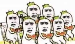 吃瓜群众零零甲,揭秘娱乐圈幕后故事