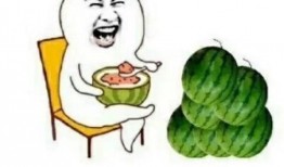 娱乐都是吃瓜,瓜田里的欢乐与八卦