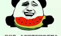 带你吃瓜野生大孝子,带你领略孝道文化的魅力与传承