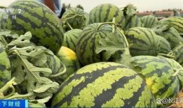 吃最新最热的瓜,明星幕后真相大曝光！