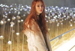 葵姐吃瓜,揭秘娱乐圈幕后故事