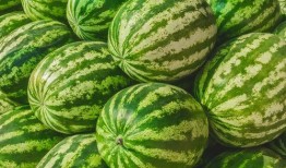 桂林叮叮兽吃瓜,桂林叮叮兽的夏日吃瓜奇遇记